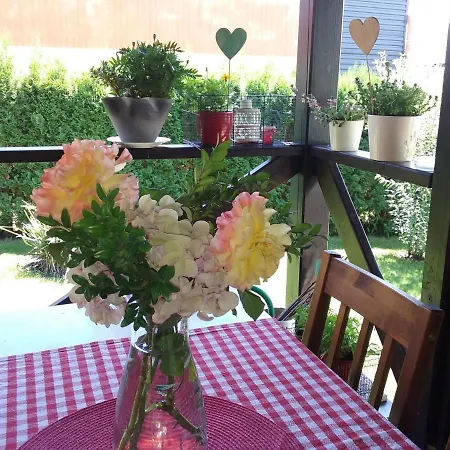 Happy Guests * بوبراد